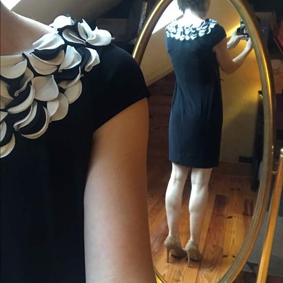 Taylor Black White Sheath Circular Dress, EUC, 4 - Picture 12 of 12